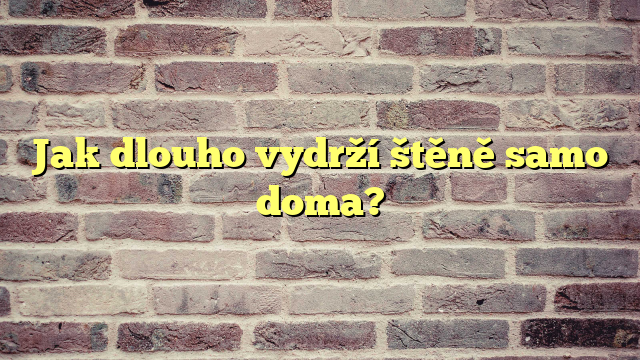 Jak dlouho vydrží štěně samo doma?